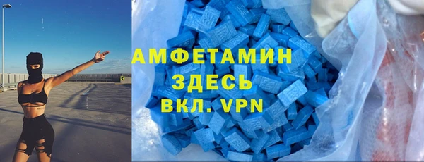 гидра Алексин
