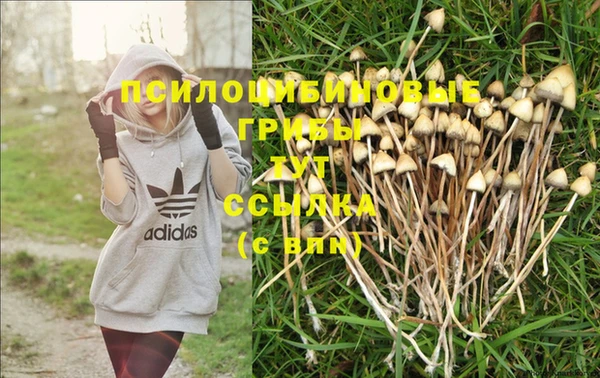 таблы Алзамай