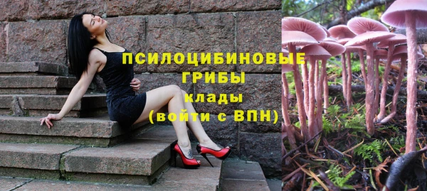 гидра Алексин