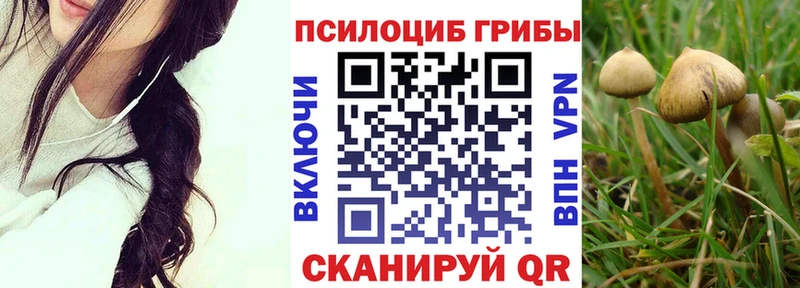 Галлюциногенные грибы Magic Shrooms  Апрелевка 